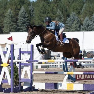 Meet your Posher, Meg